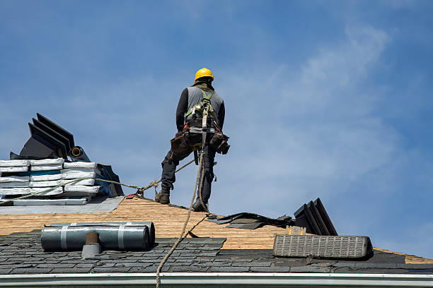 Professional Storm Damage Roof Repair technician working in Spring Grove, IL